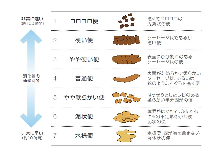 ブリストルスケール