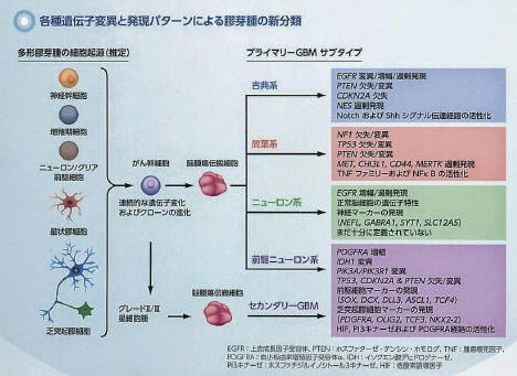 神経膠腫学における目覚ましい進歩